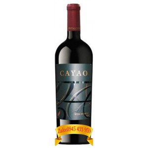 Rượu vang Cayao Botalcura Icon wine