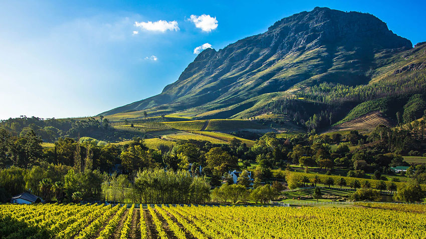 Phong cảnh vùng vang Western Cape