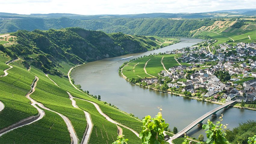 Hình ảnh vùng rượu vang Mosel - Đức