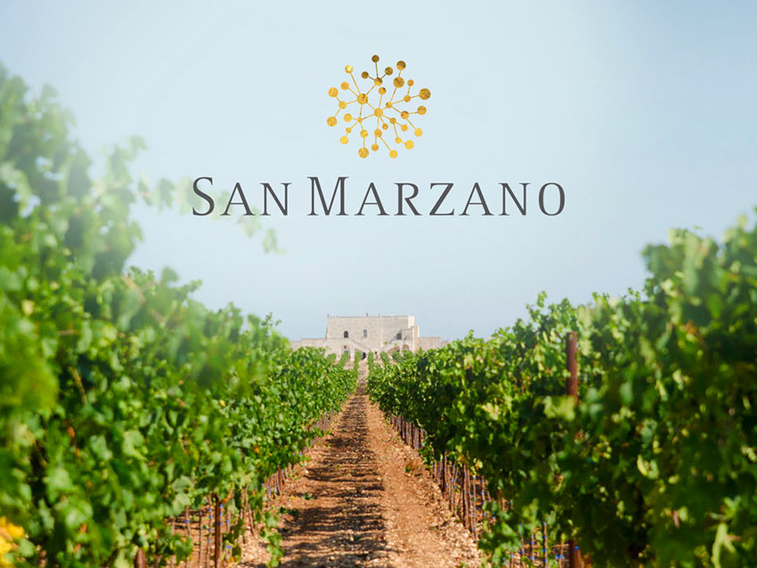 Vườn nho xinh đẹp nhà San Marzano